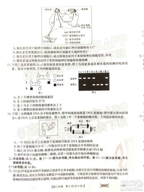 2022届广东金太阳高三11月联考生物试题及答案