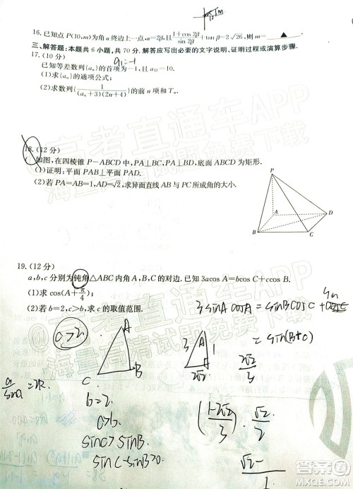 2022届吉林金太阳三十六校高三11月联考文科数学试题及答案