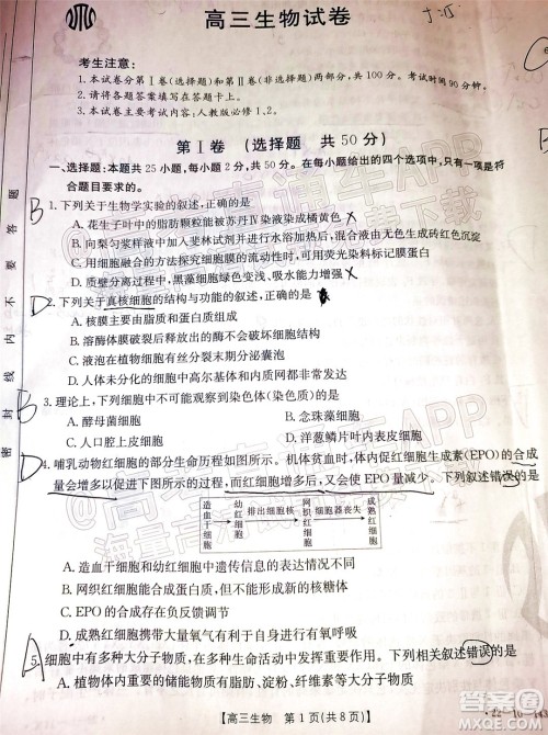 2022届吉林金太阳三十六校高三11月联考生物试题及答案 2022届吉林金太阳三十六校高三11月联考生物试题及答案