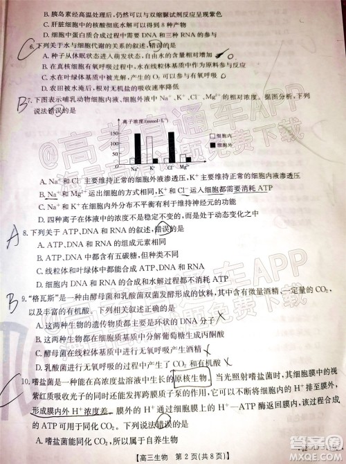 2022届吉林金太阳三十六校高三11月联考生物试题及答案 2022届吉林金太阳三十六校高三11月联考生物试题及答案