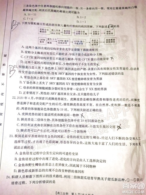 2022届吉林金太阳三十六校高三11月联考生物试题及答案 2022届吉林金太阳三十六校高三11月联考生物试题及答案
