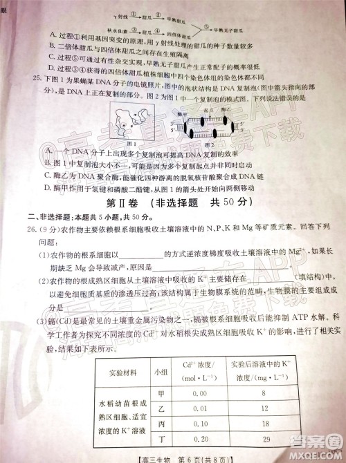 2022届吉林金太阳三十六校高三11月联考生物试题及答案