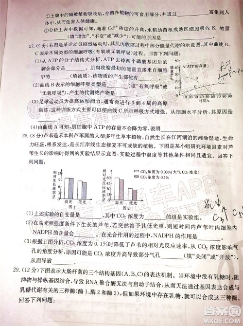 2022届吉林金太阳三十六校高三11月联考生物试题及答案 2022届吉林金太阳三十六校高三11月联考生物试题及答案