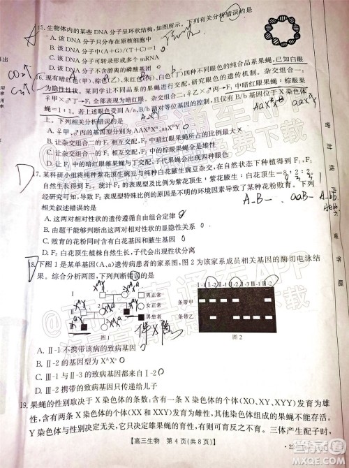 2022届吉林金太阳三十六校高三11月联考生物试题及答案 2022届吉林金太阳三十六校高三11月联考生物试题及答案