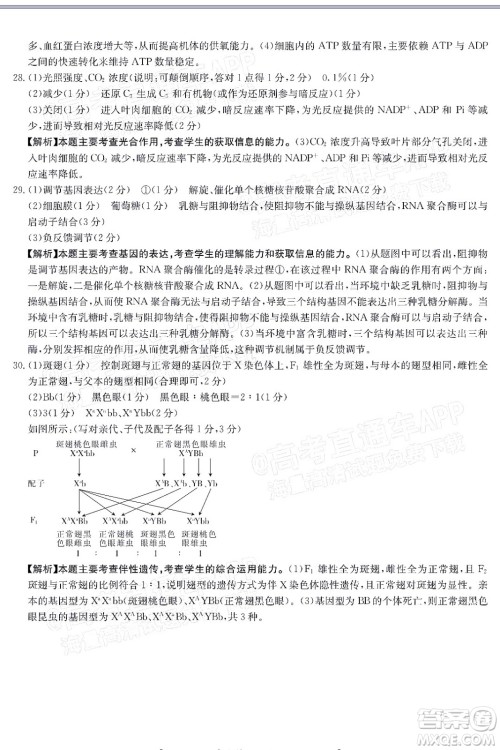 2022届吉林金太阳三十六校高三11月联考生物试题及答案