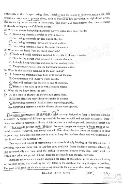 2022届湖南金太阳高三11月联考英语试题及答案