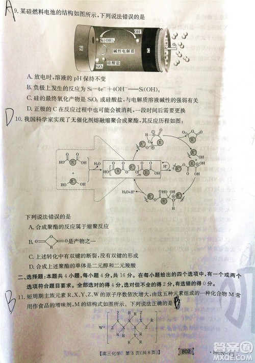 2022届湖南金太阳高三11月联考化学试题及答案