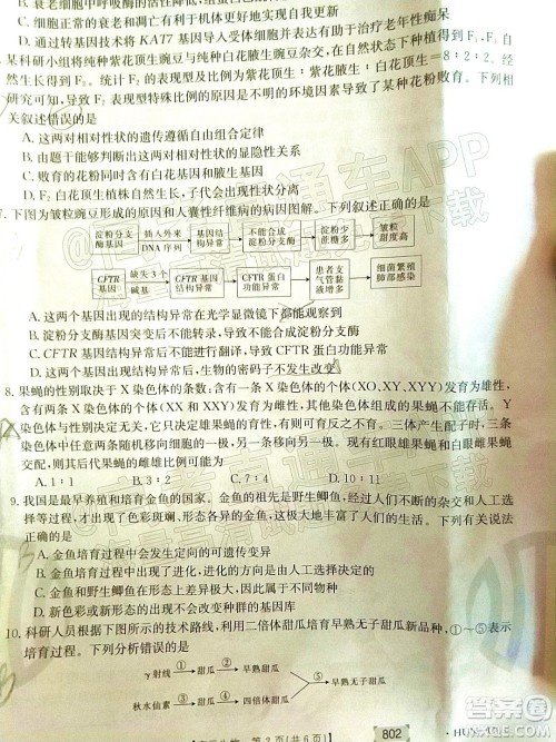 2022届湖南金太阳高三11月联考生物试题及答案 2022届湖南金太阳高三11月联考生物试题及答案