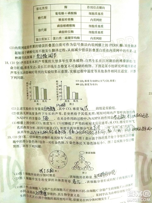 2022届湖南金太阳高三11月联考生物试题及答案