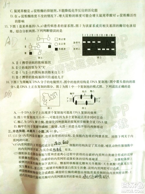 2022届湖南金太阳高三11月联考生物试题及答案