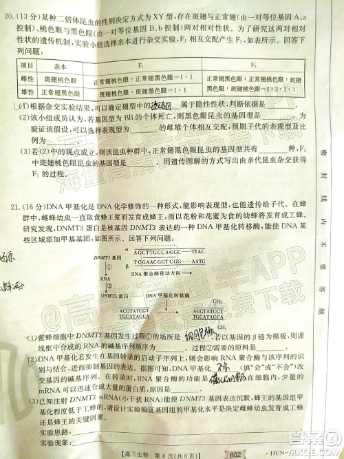 2022届湖南金太阳高三11月联考生物试题及答案 2022届湖南金太阳高三11月联考生物试题及答案