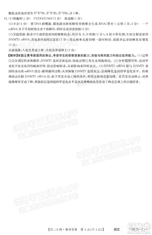 2022届湖南金太阳高三11月联考生物试题及答案 2022届湖南金太阳高三11月联考生物试题及答案