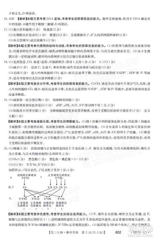 2022届湖南金太阳高三11月联考生物试题及答案