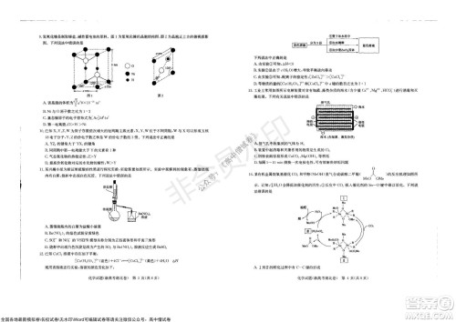 华大新高考联盟2022届高三11月教学质量测评化学试题及答案