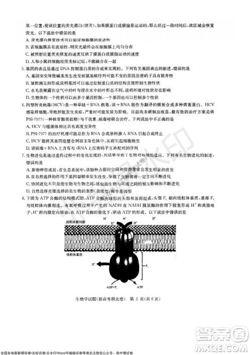 华大新高考联盟2022届高三11月教学质量测评生物试题及答案 华大新高考联盟2022届高三11月教学质量测评生物试题及答案
