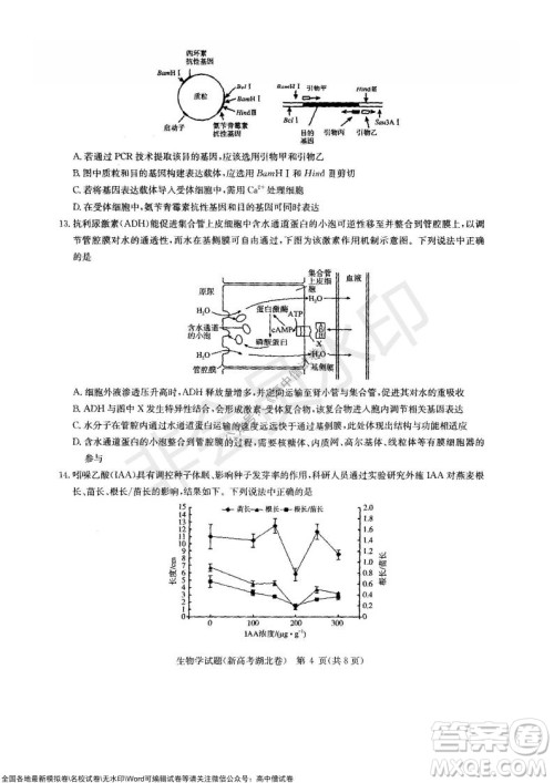 华大新高考联盟2022届高三11月教学质量测评生物试题及答案