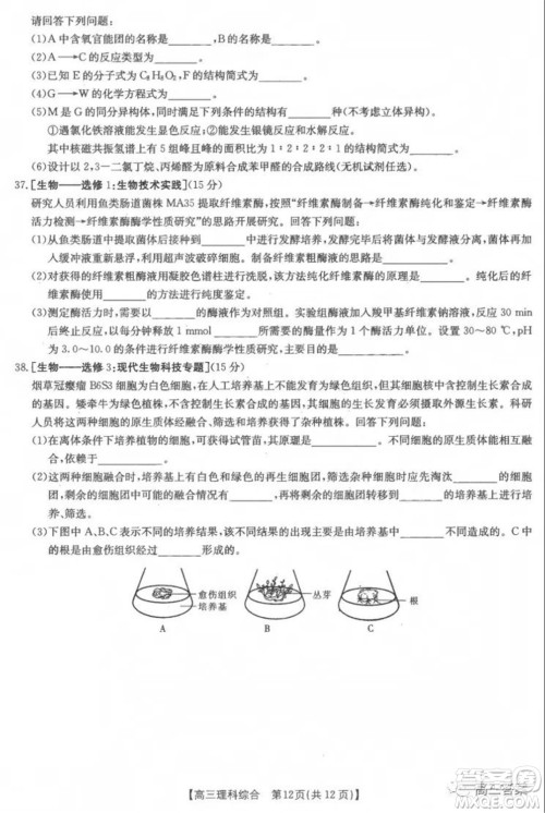 2022届新乡市高三第一次模拟考试理科综合试题及答案