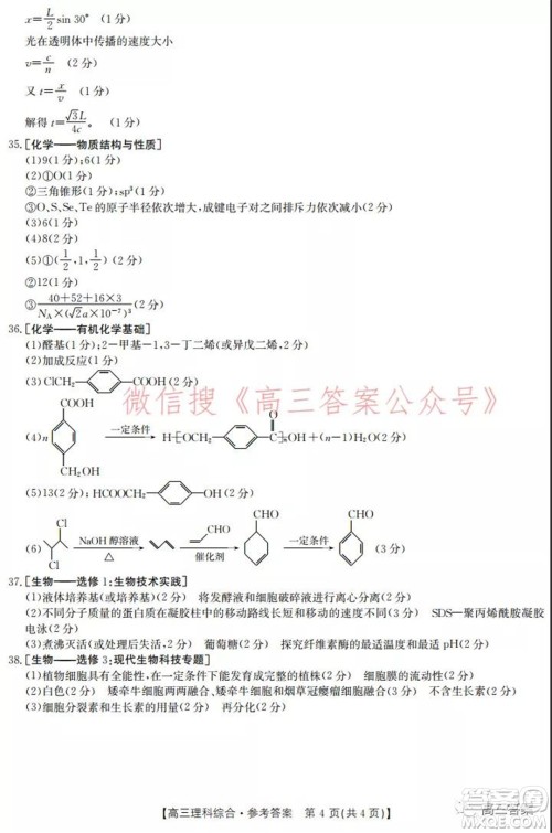 2022届新乡市高三第一次模拟考试理科综合试题及答案