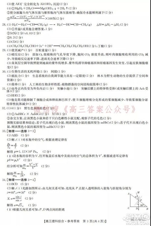 2022届新乡市高三第一次模拟考试理科综合试题及答案