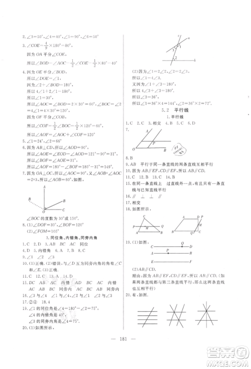 吉林大学出版社2021新起点作业本七年级数学上册华师大版参考答案