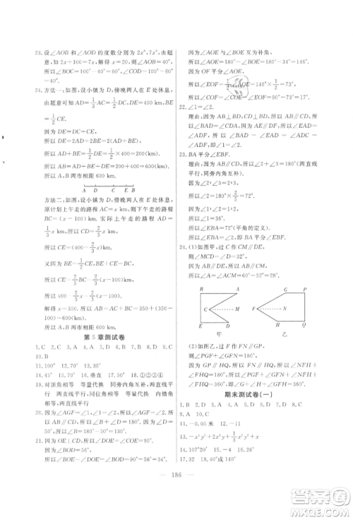 吉林大学出版社2021新起点作业本七年级数学上册华师大版参考答案