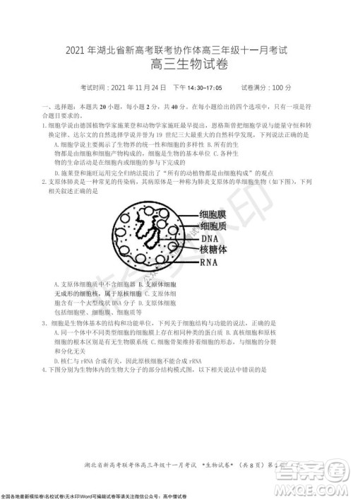 2021年湖北省新高考协作体高三年级十一月考试生物试题及答案