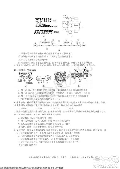 2021年湖北省新高考协作体高三年级十一月考试生物试题及答案