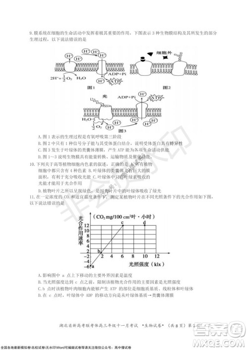 2021年湖北省新高考协作体高三年级十一月考试生物试题及答案