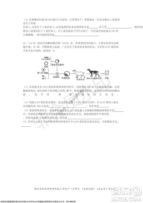 2021年湖北省新高考协作体高三年级十一月考试生物试题及答案