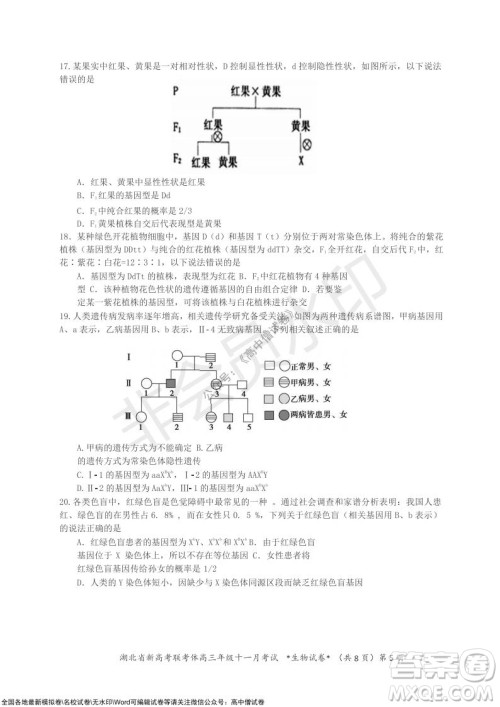 2021年湖北省新高考协作体高三年级十一月考试生物试题及答案