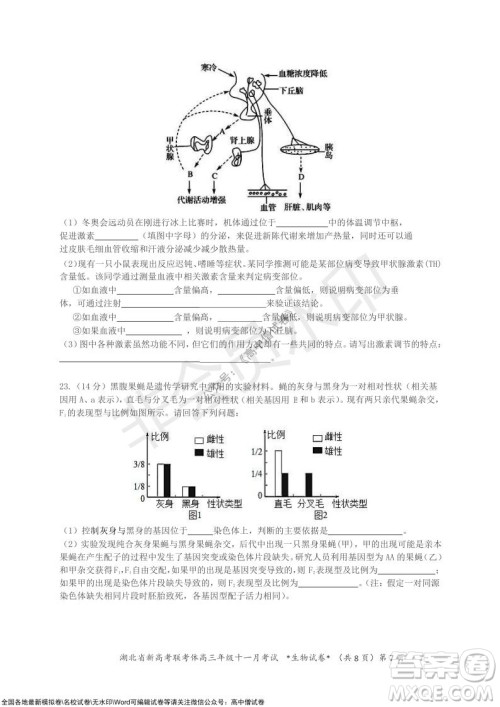 2021年湖北省新高考协作体高三年级十一月考试生物试题及答案