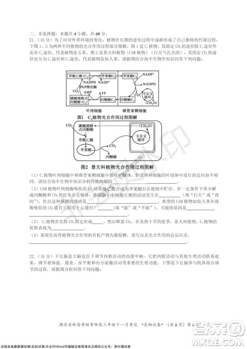 2021年湖北省新高考协作体高三年级十一月考试生物试题及答案