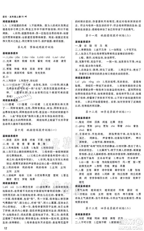 内蒙古大学出版社2021超越训练五年级语文上册R人教版绵阳专版答案