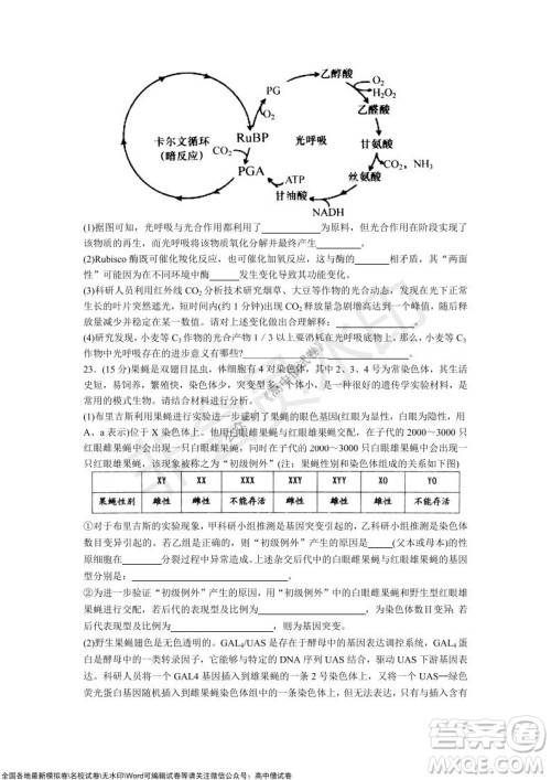 山东青岛2021-2022学年度第一学期教学质量检测高三生物试题及答案