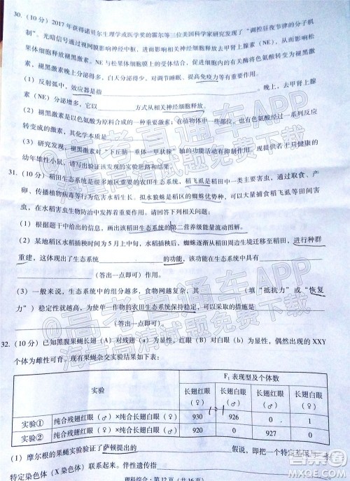 2022届贵阳一中高考适应性月考三理科综合试题及答案 2022届贵阳一中高考适应性月考三理科综合试题及答案