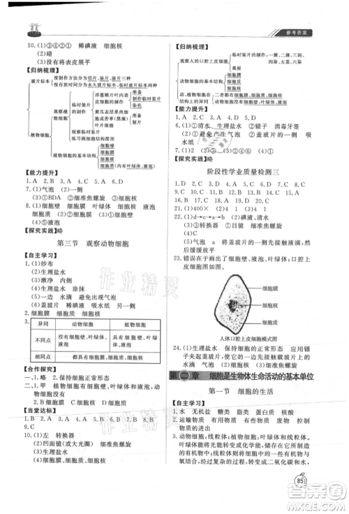 山东友谊出版社2021初中同步练习册五四制六年级生物上册鲁科版参考答案