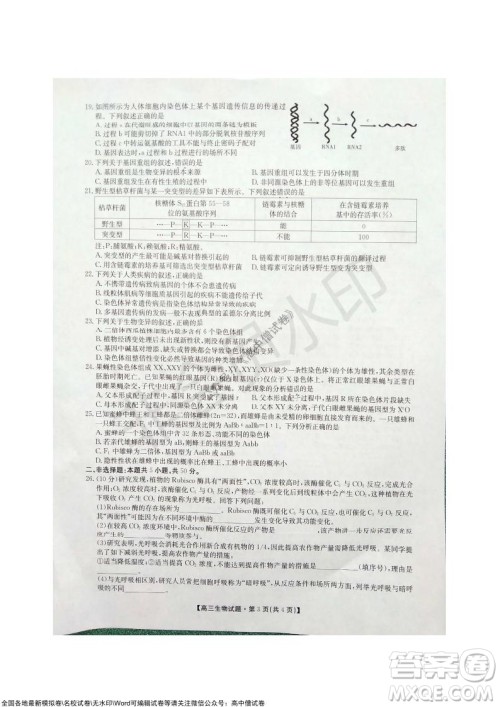 陕西安康2021-2022学年第一学期高三年级11月阶段性考试生物试题及答案