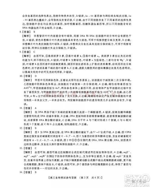 非凡吉创22届高三年级模拟调研一高三生物答案