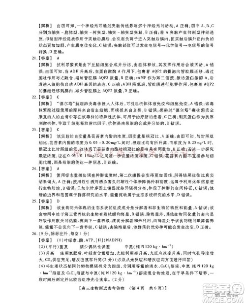 非凡吉创22届高三年级模拟调研一高三生物答案