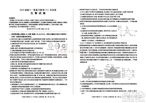 百师联盟2022届高三一轮复习联考三河北卷生物试题及答案