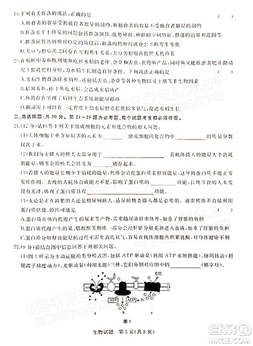 2022届普通高等学校全国统一招生考试青桐鸣12月高三适应性检测生物试题及答案 2022届普通高等学校全国统一招生考试青桐鸣12月高三适应性检测生物试题及答案