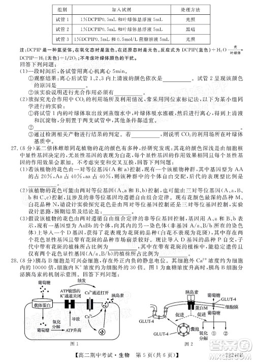 河南顶尖名校联盟2021-2022学年高二上学期期中考试生物试题及答案