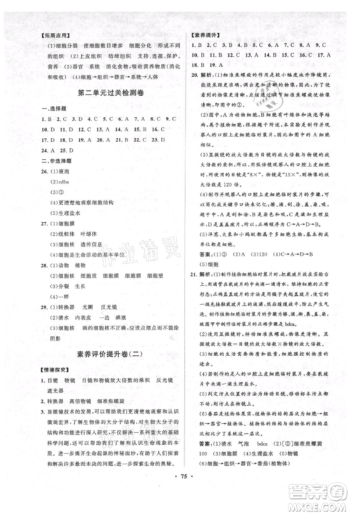 山东教育出版社2021初中同步练习册分层卷五四制六年级生物上册鲁科版参考答案