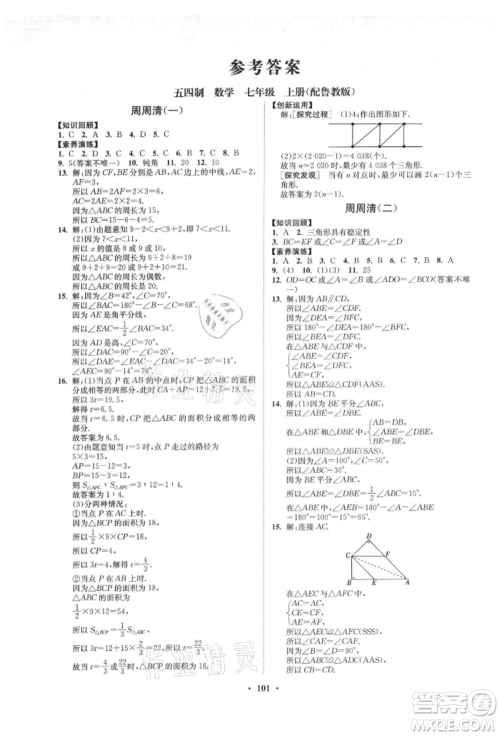 山东教育出版社2021初中同步练习册分层卷五四制七年级数学上册鲁教版参考答案