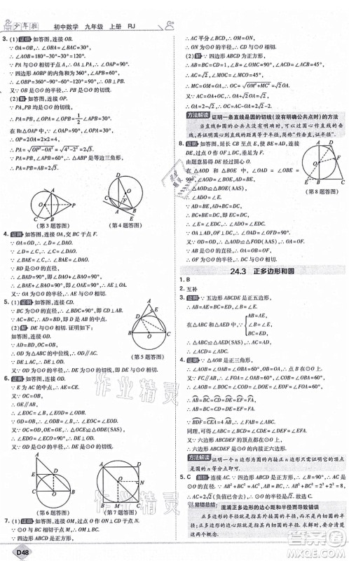 开明出版社2021少年班九年级数学上册RJ人教版答案