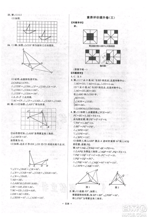 山东教育出版社2021初中同步练习册分层卷五四制八年级数学上册鲁教版参考答案