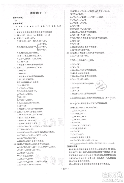 山东教育出版社2021初中同步练习册分层卷五四制八年级数学上册鲁教版参考答案
