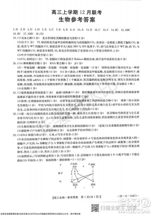 2022届河北金太阳高三12月联考生物试题及答案 2022届河北金太阳高三12月联考生物试题及答案