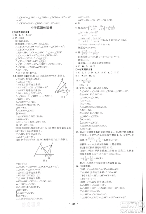 山东教育出版社2021初中同步练习册分层卷八年级数学上册青岛版参考答案