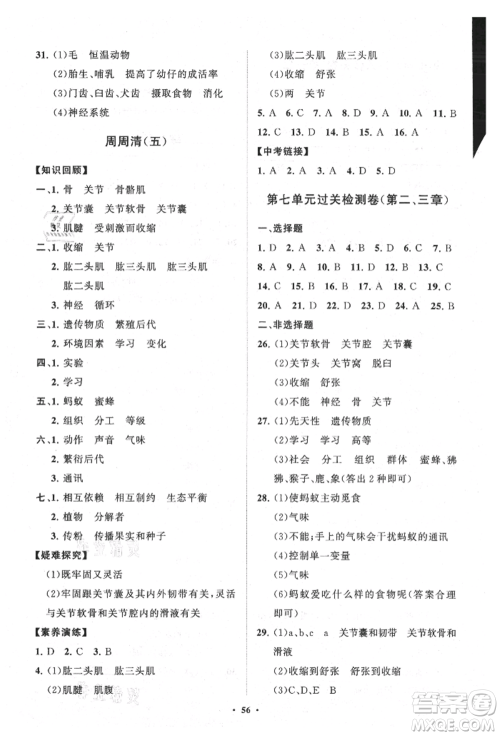 山东教育出版社2021初中同步练习册分层卷五四制八年级生物上册鲁科版参考答案